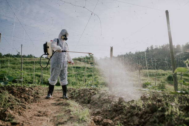 Best Mosquito Control Services  in Westhaven Moonstone, CA