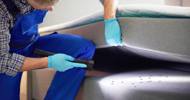Best Local Pest Control Services  in Westhaven Moonstone, CA