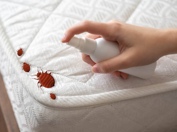 Best Emergency Pest Control  in Westhaven Moonstone, CA