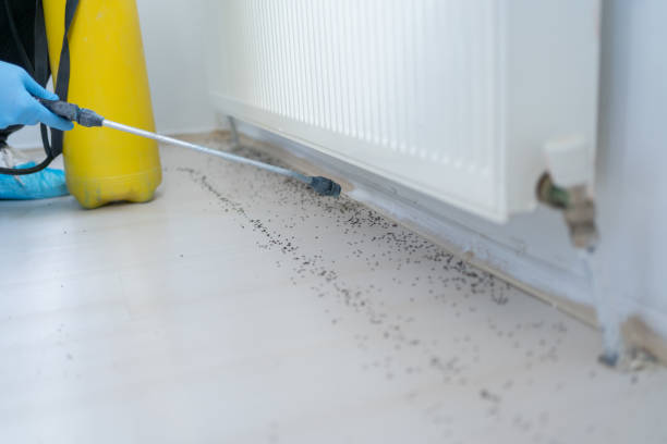  Westhaven Moonstone, CA Pest Control Pros